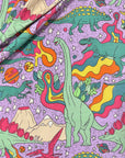 PRE ORDER - Retro Dino