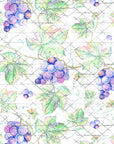 PRE ORDER - Grapevines