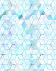 PRE ORDER - Ice Geo