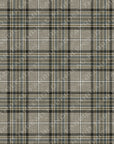 PRE ORDER - Sage Plaid