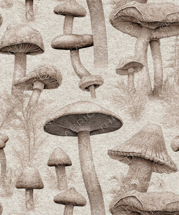 R60 * - Sepia Mushrooms
