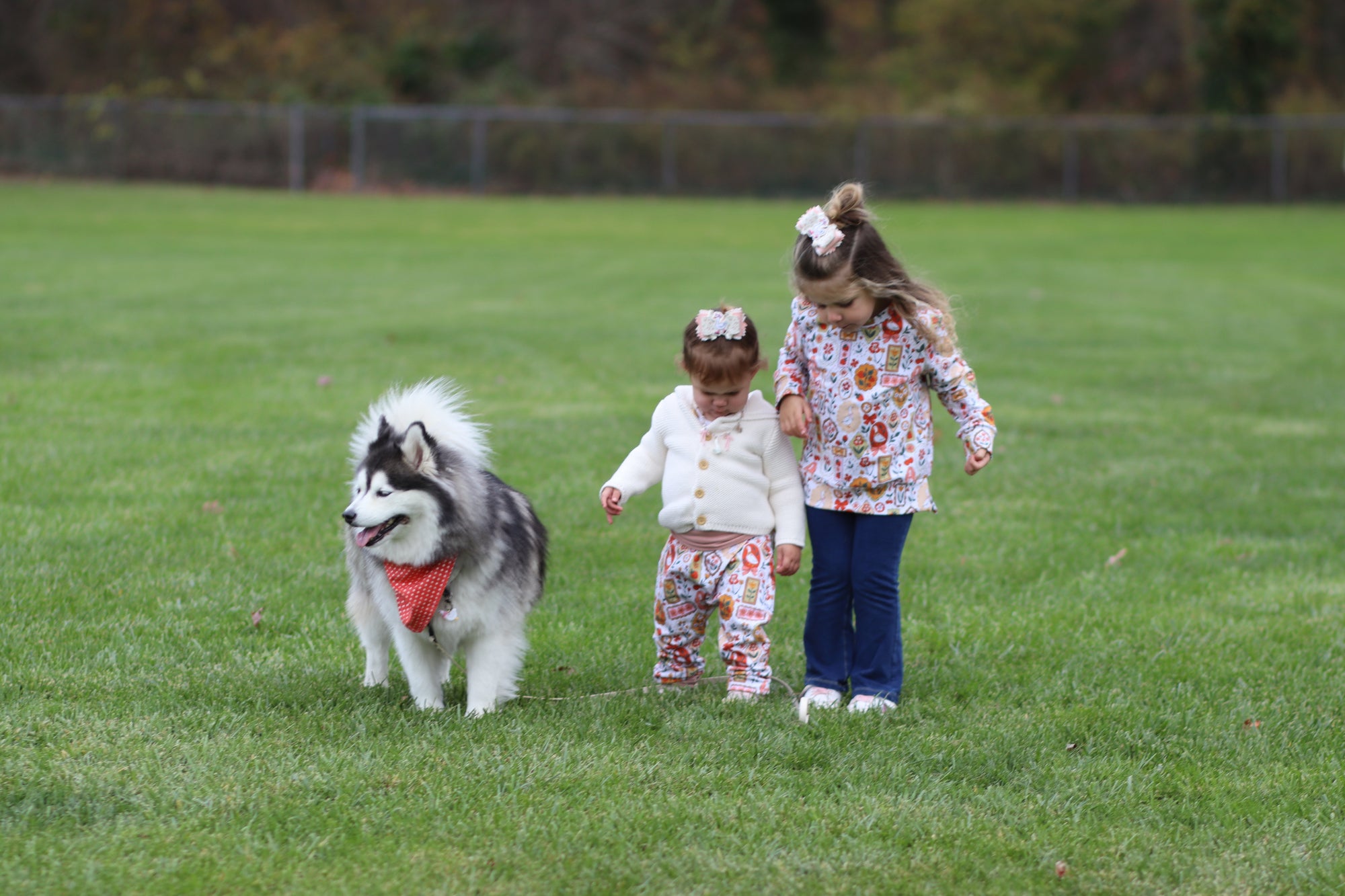 PRE ORDER - Silly Goose