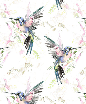 PRE ORDER - Hummingbird Canvas