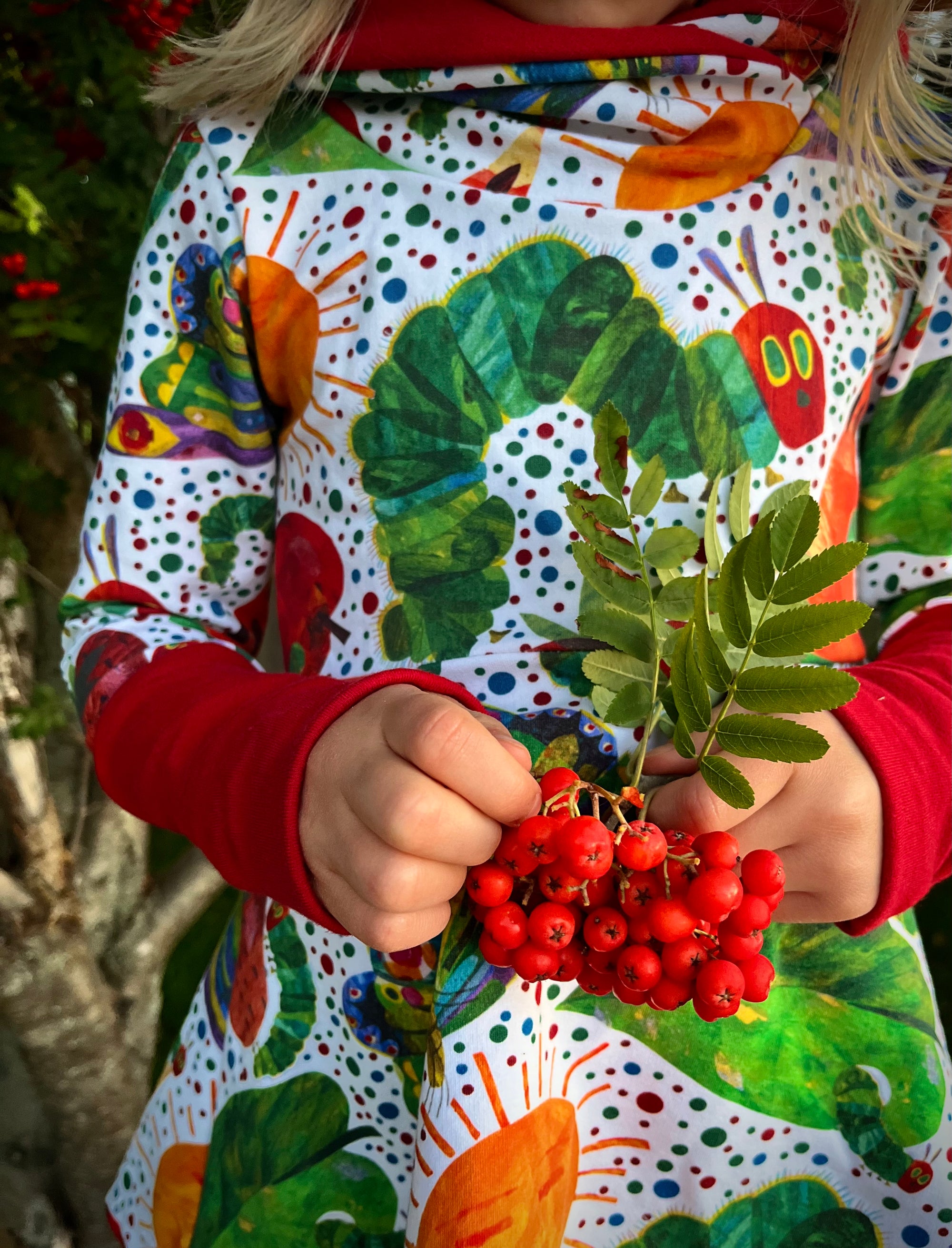 Hungry Caterpillar