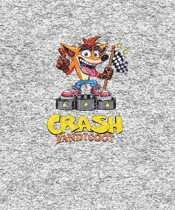 Crash Panel