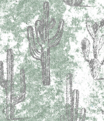 PRE ORDER  - Crass Cactus