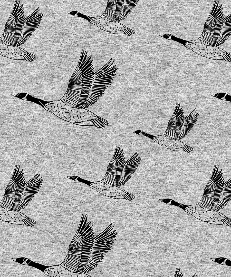 PRE ORDER - Grey Geese