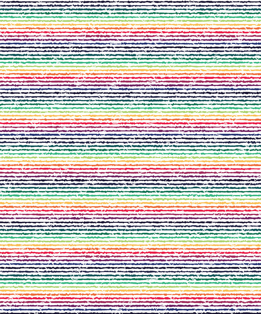 PRE ORDER - Rainbow Micro Stripe
