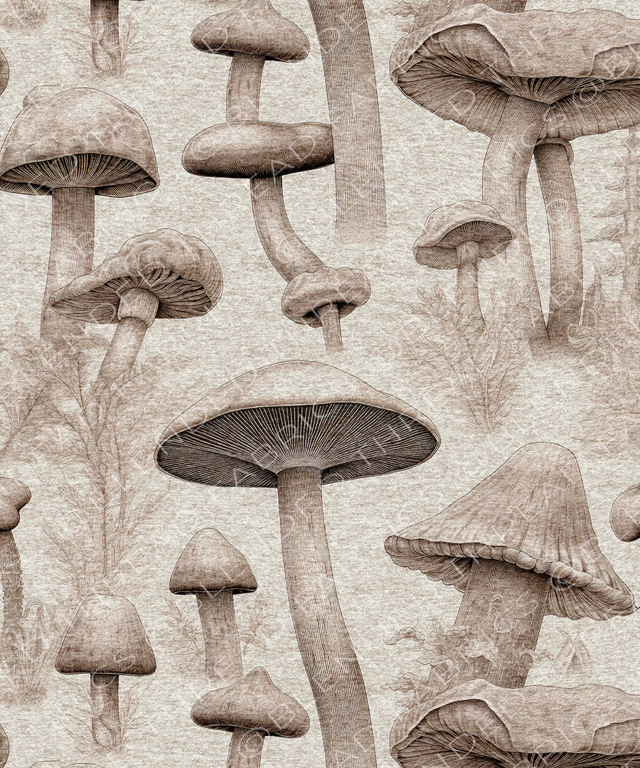 PRE ORDER - Sepia Mushrooms