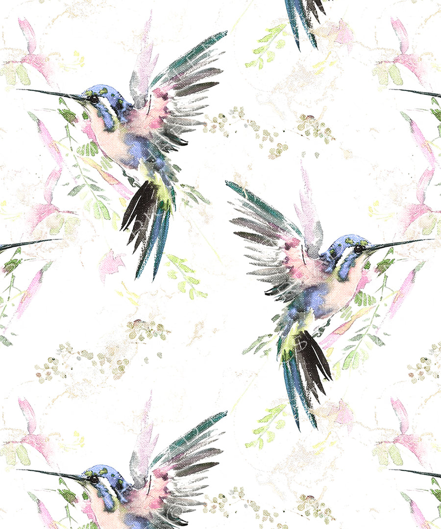 R55* - Hummingbird Canvas